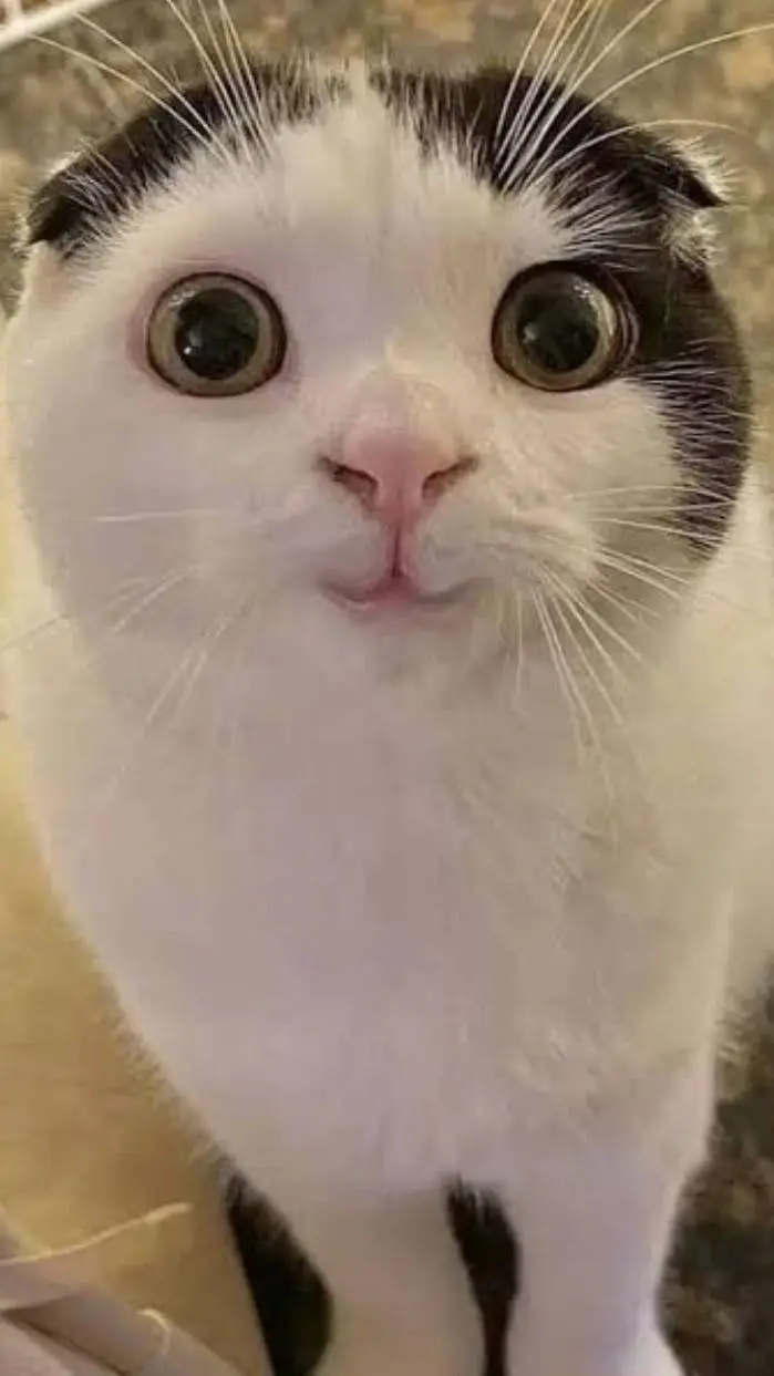 ai character: DNB loves you?!  background