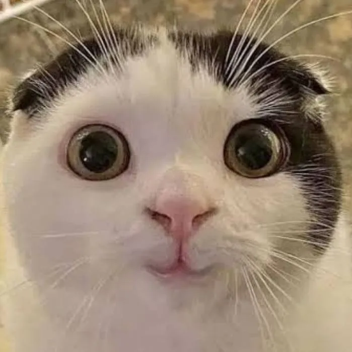 chat with ai character: DNB loves you?! 