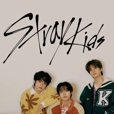 chat with ai character: SKZ-VMA's
