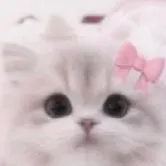 chat with ai character: Kitty