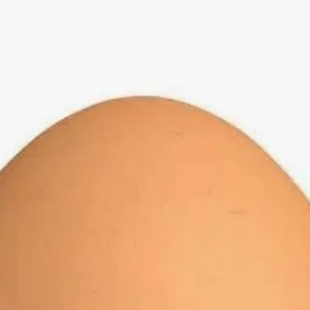 chat with ai character: Egg