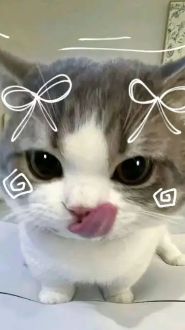 ai character: your 4 hubby background