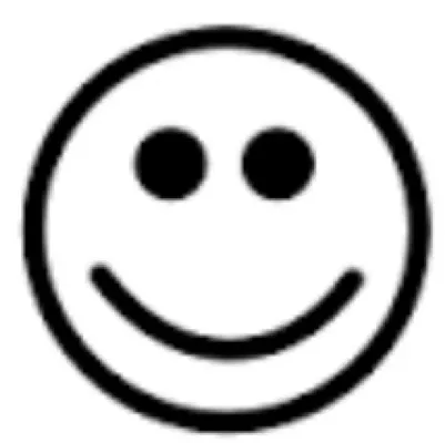 chat with ai character: You Are An Idiot 