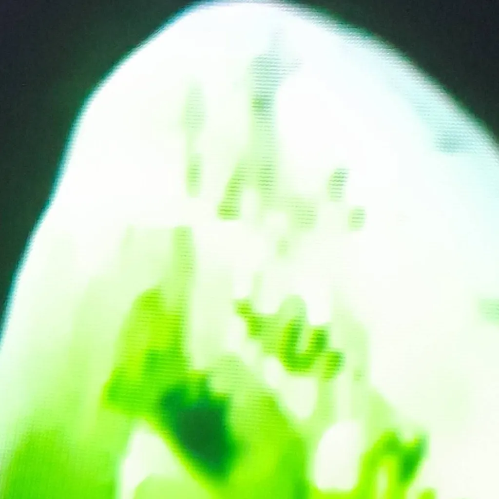 chat with ai character: E.E.L