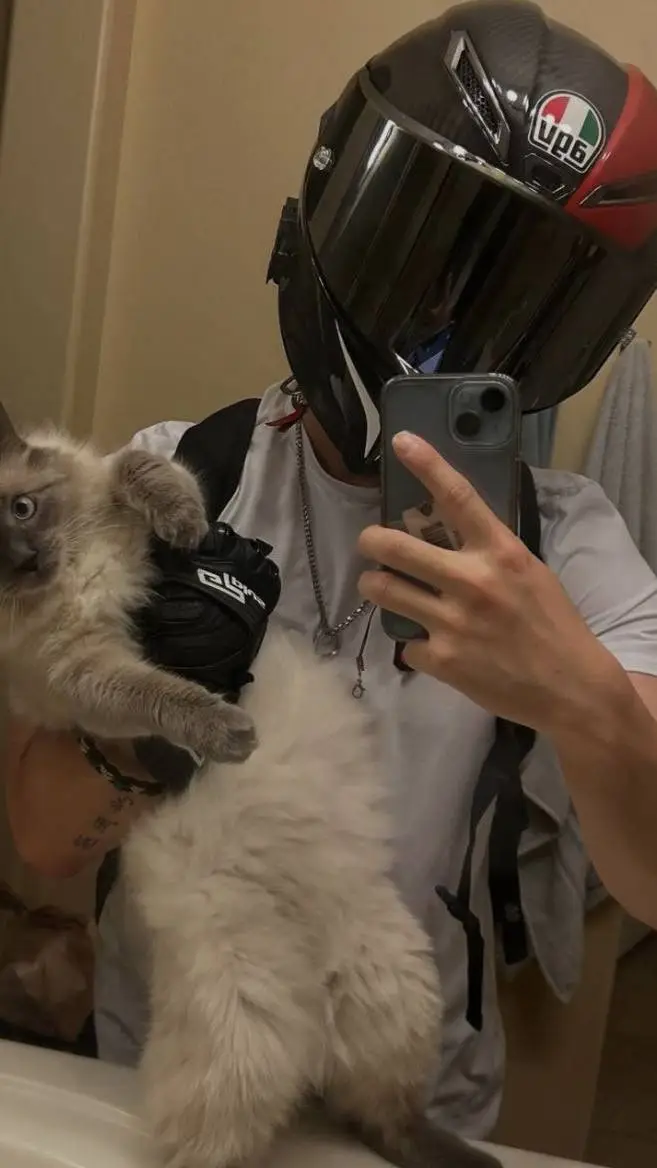 ai character: Bongo background