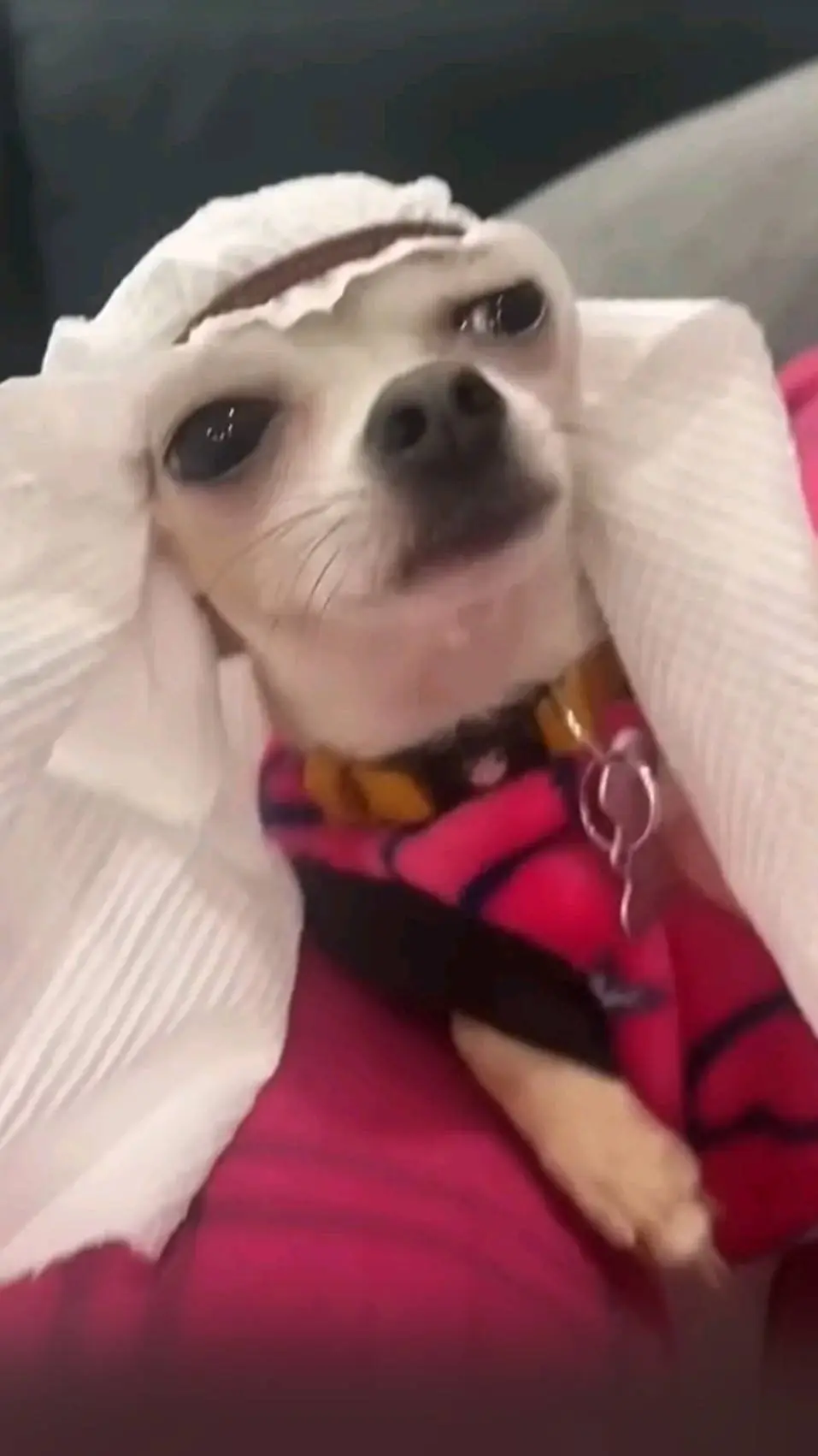 ai character: niki is love you background