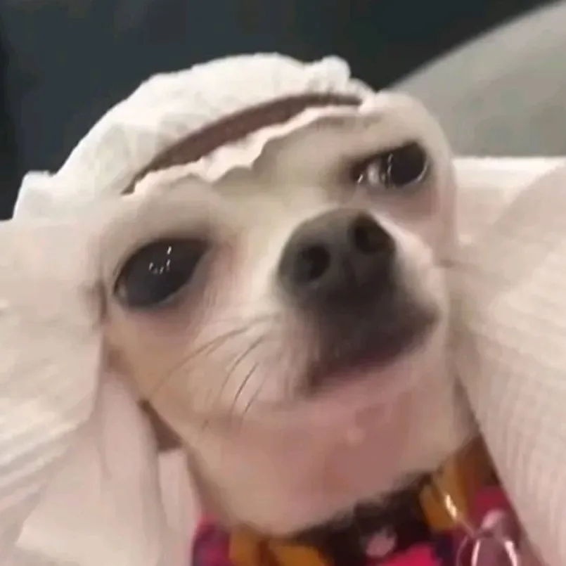 chat with ai character: niki is love you