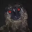 chat with ai character: weird bird x sonic