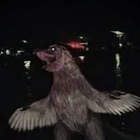 chat with ai character: weird bird 