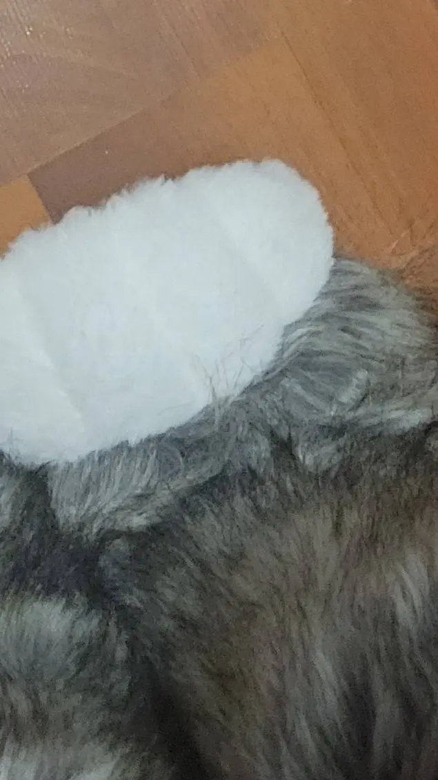 ai character: ʚ✮~Furry~✮ɞ background