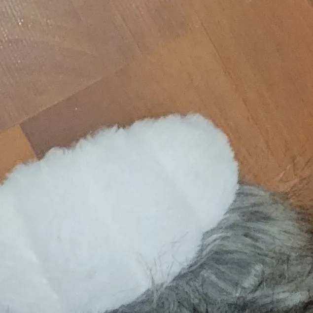 chat with ai character: ʚ✮~Furry~✮ɞ