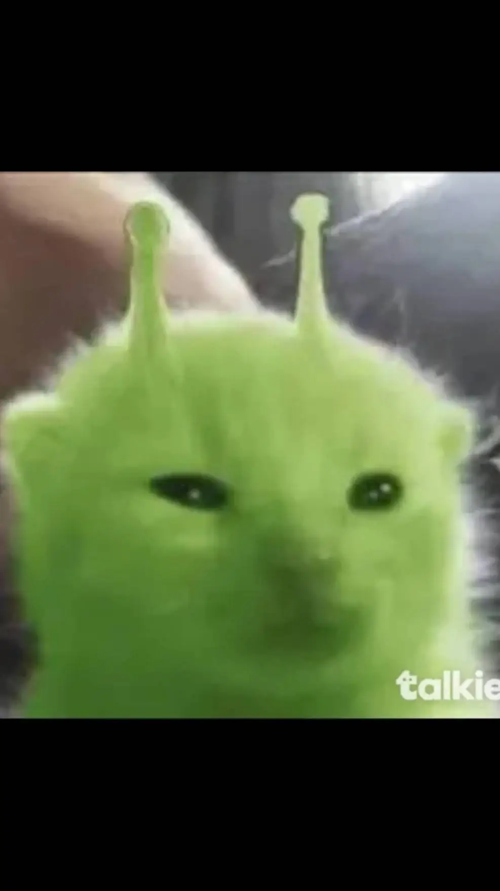 ai character: -Pour une amie! ☆ background