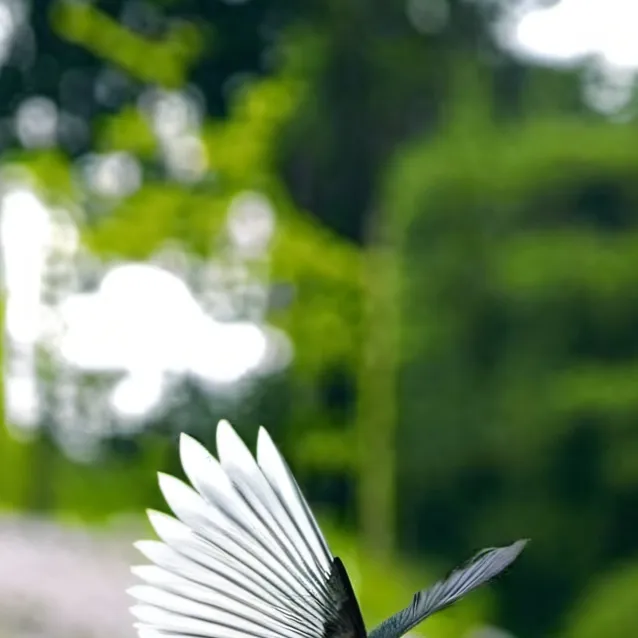 chat with ai character: grass