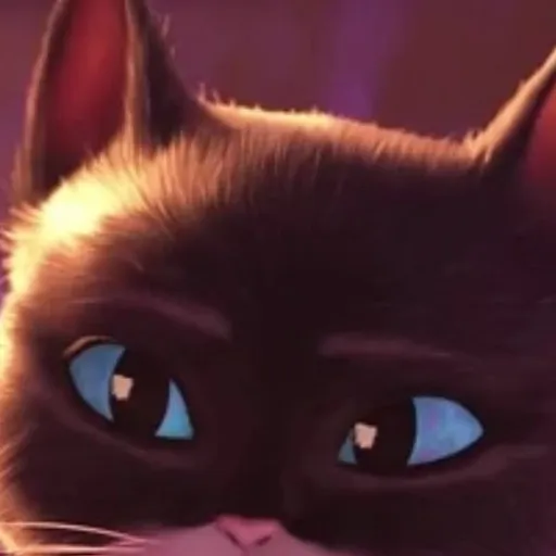 chat with ai character: Kitty