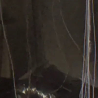 chat with ai character: Abandoned big lots