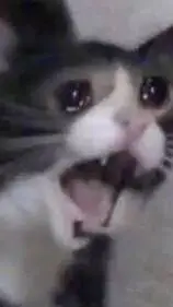 ai character: UHM TESTING ACC background