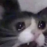 chat with ai character: UHM TESTING ACC