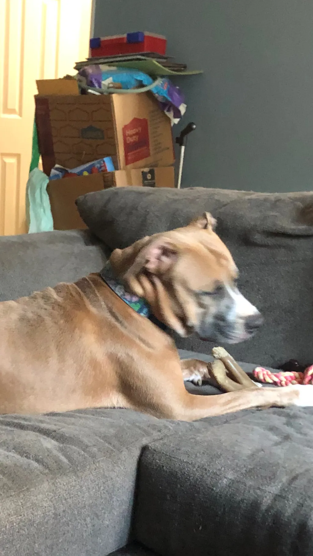 ai character: Marnie background