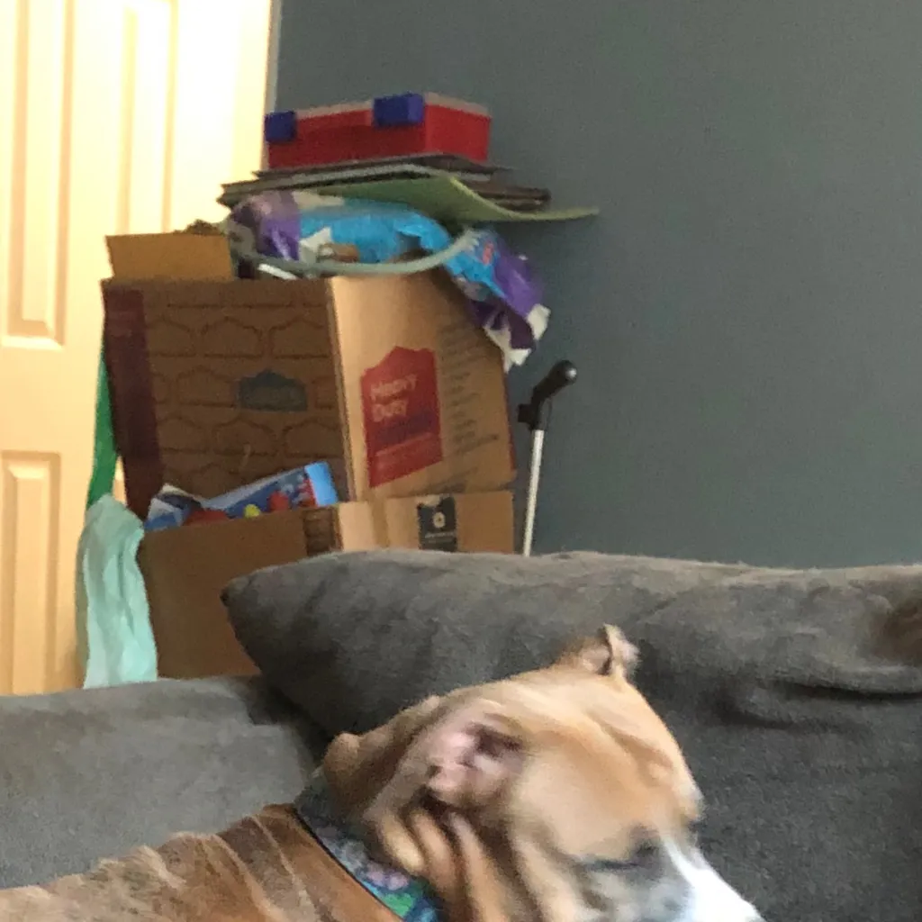 chat with ai character: Marnie