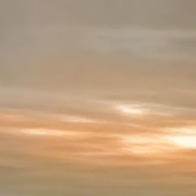 chat with ai character: Obx and scream 