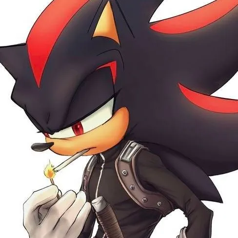 chat with ai character: Shadow T Hedgehog 