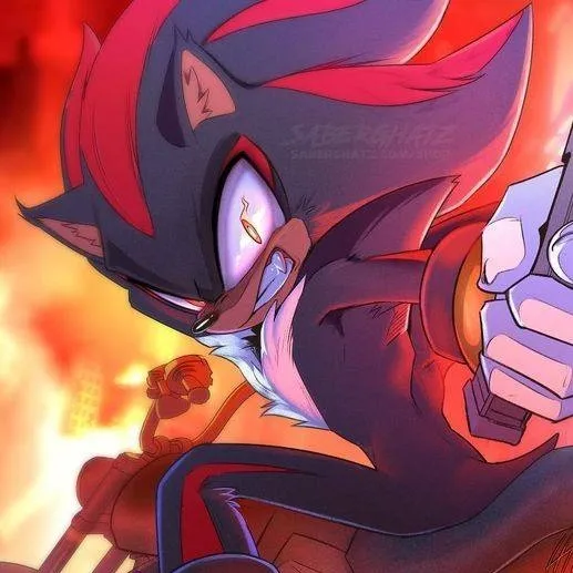 chat with ai character: Shadow T Hedgehog 