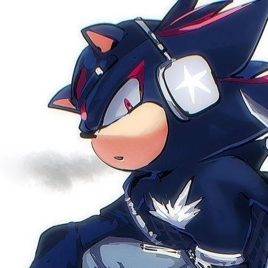 chat with ai character: Shadow T Hedgehog 