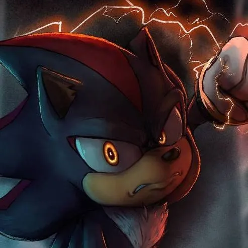 chat with ai character: Shadow T Hedgehog