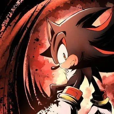chat with ai character: Shadow T Hedgehog 