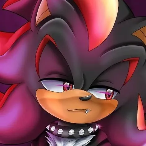 chat with ai character: Shadow T Hedgehog 