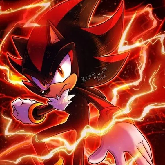 chat with ai character: Shadow T Hedgehog 