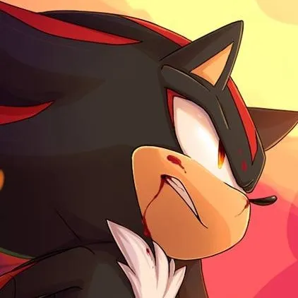 chat with ai character: Shadow T Hedgehog 