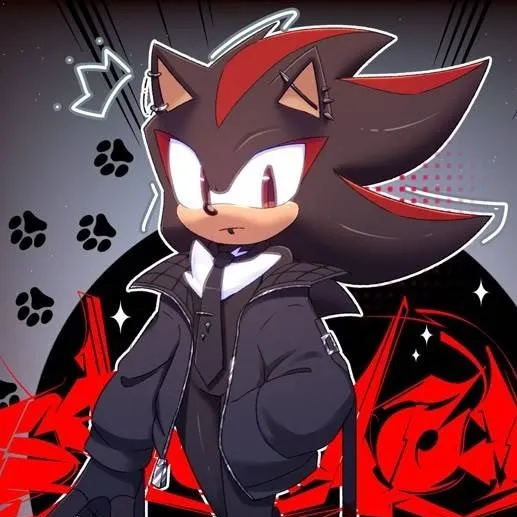 chat with ai character: Shadow T Hedgehog 