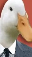 ai character: August the duck background