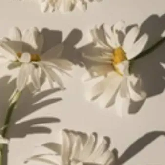 chat with ai character: intro