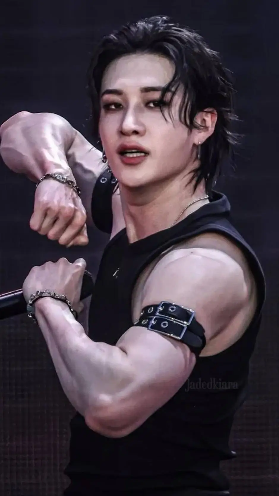 ai character: stray kids  background