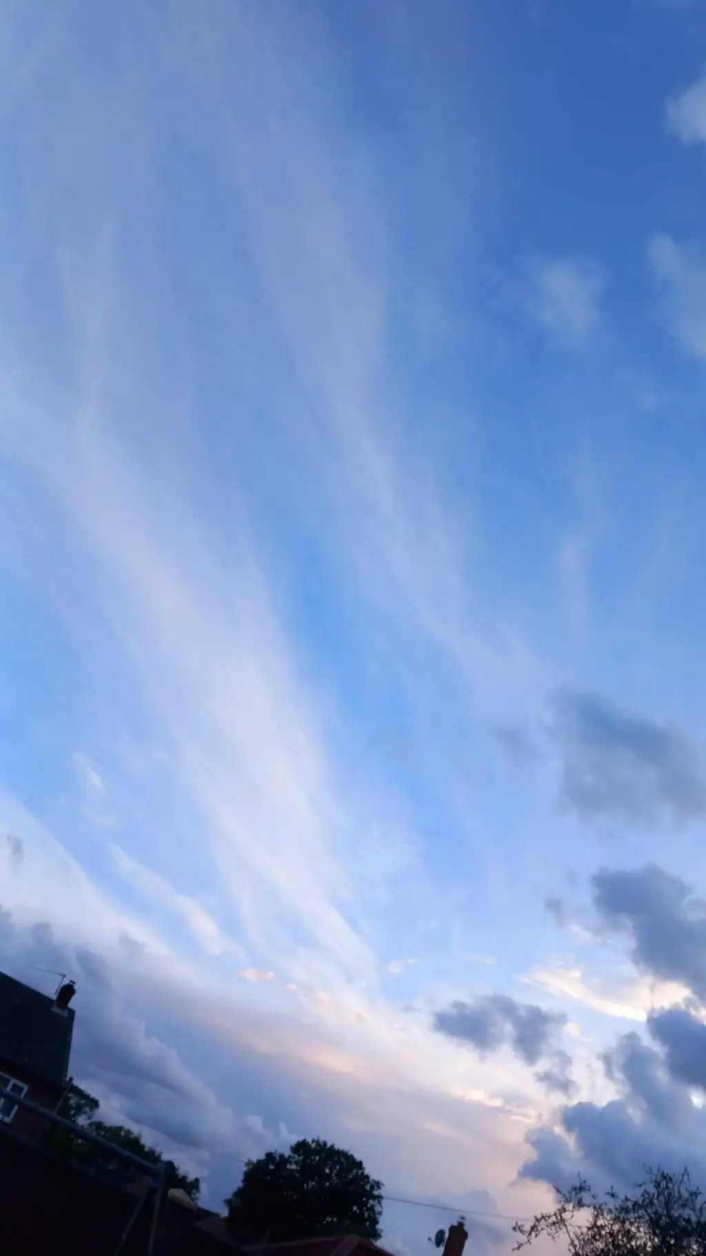 ai character: Puppies background