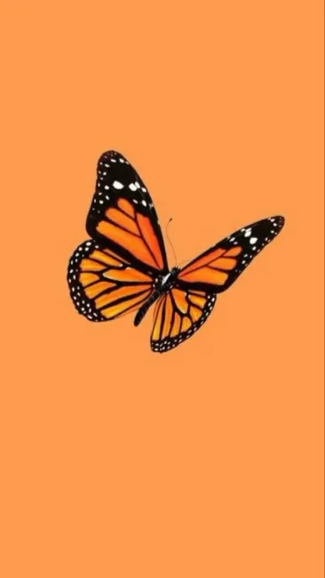 ai character: Sturniolos background