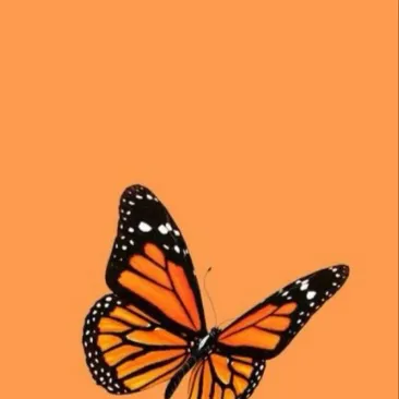 chat with ai character: Sturniolos