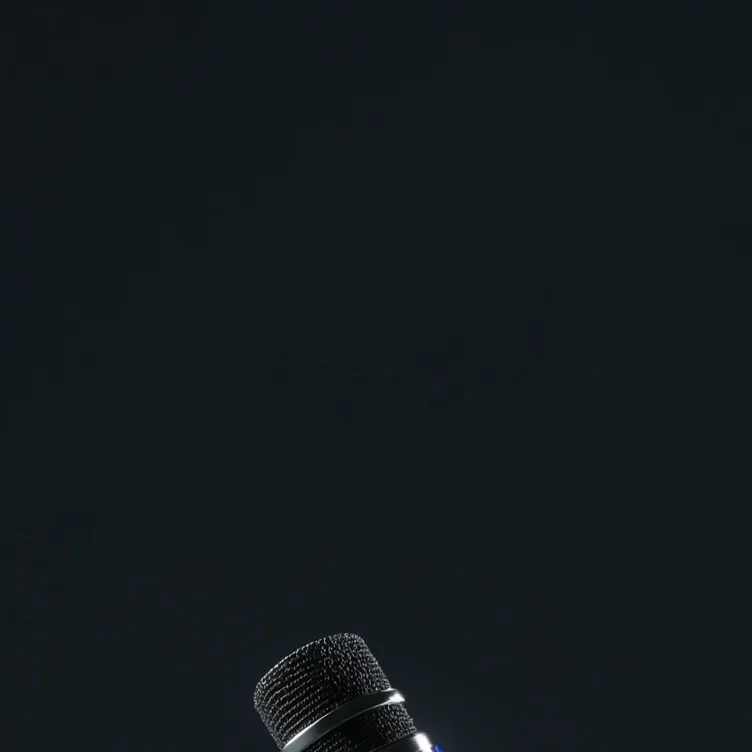 chat with ai character: song gusser 