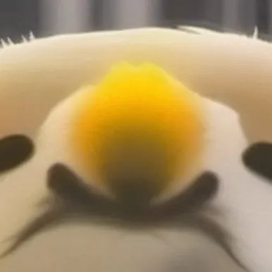 chat with ai character: Lukas 