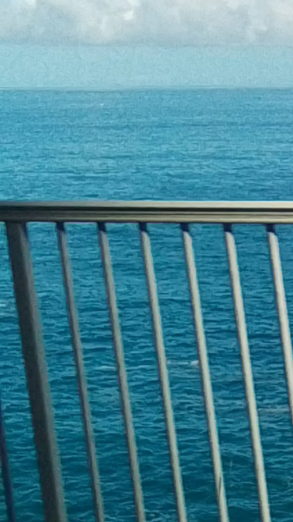 ai character: Gatito•+ 🐱❤️👉👈 background