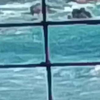 chat with ai character: Infancia woods 2