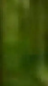 ai character: BNHA y creepypasta background