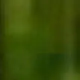 chat with ai character: BNHA y creepypasta