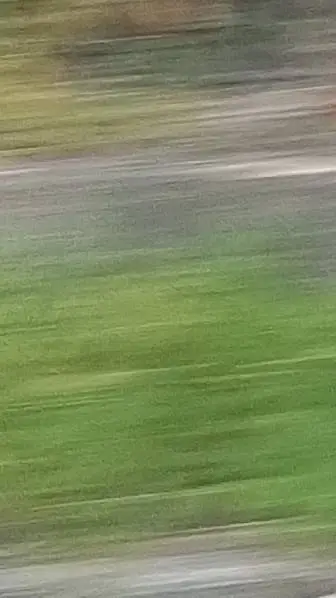 ai character: A background