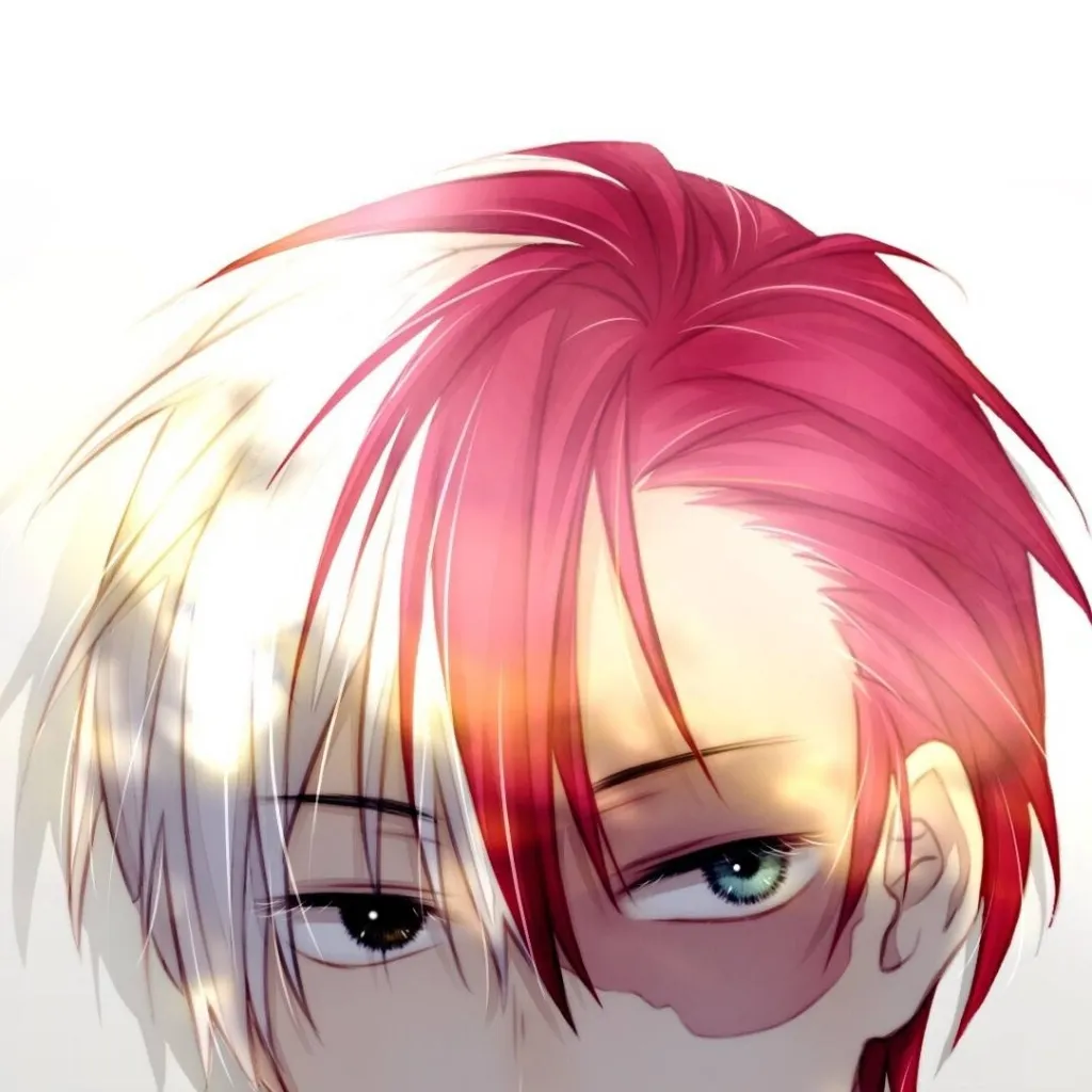 chat with ai character: Shoto Todoroki