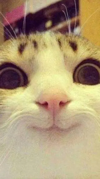 ai character: British boy background