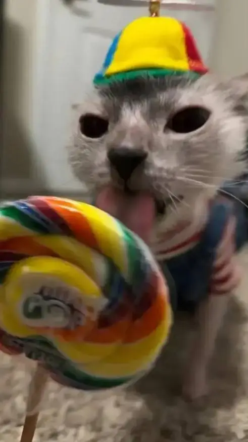 ai character: sigma kid..  background