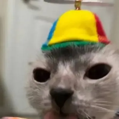 chat with ai character: sigma kid.. 